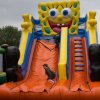 img_1065