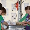Menno's droom 2016
